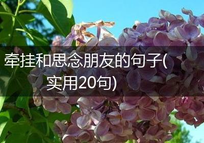 牵挂和思念朋友的句子(实用20句)