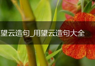 望云造句_用望云造句大全