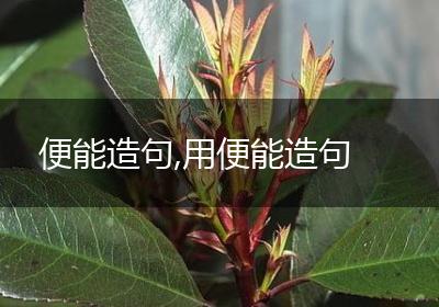 便能造句,用便能造句
