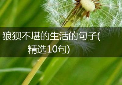 狼狈不堪的生活的句子(精选10句)