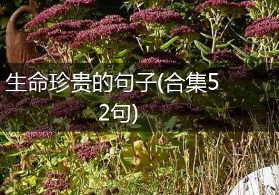 生命珍贵的句子(合集52句)