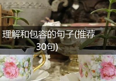 理解和包容的句子(推荐30句)