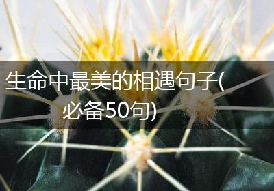 生命中最美的相遇句子(必备50句)