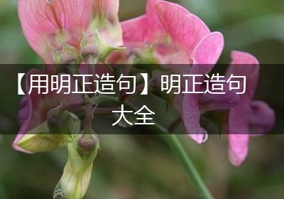 【用明正造句】明正造句大全