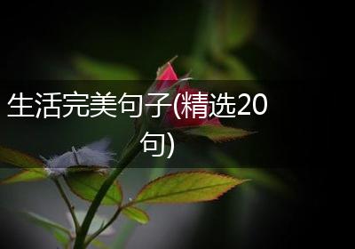 生活完美句子(精选20句)