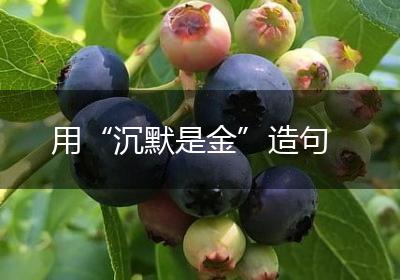 用“沉默是金”造句