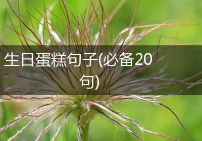 生日蛋糕句子(必备20句)