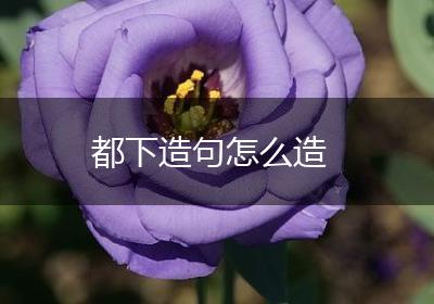 都下造句怎么造