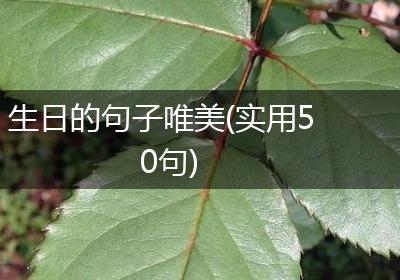 生日的句子唯美(实用50句)