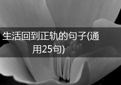 生活回到正轨的句子(通用25句)