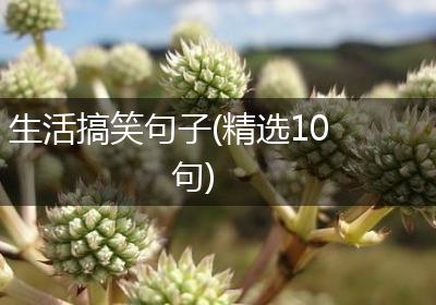 生活搞笑句子(精选10句)