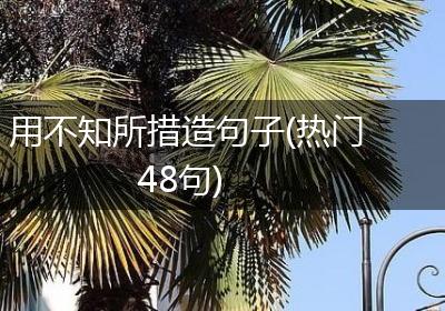 用不知所措造句子(热门48句)