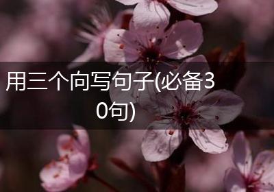用三个向写句子(必备30句)