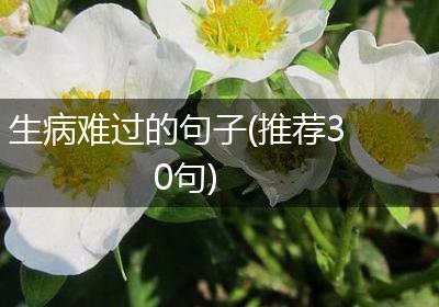 生病难过的句子(推荐30句)