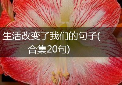 生活改变了我们的句子(合集20句)