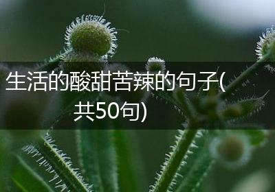 生活的酸甜苦辣的句子(共50句)