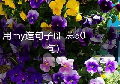 用my造句子(汇总50句)