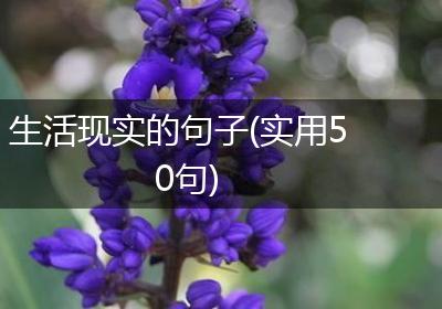生活现实的句子(实用50句)
