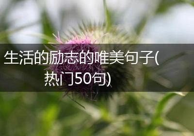 生活的励志的唯美句子(热门50句)