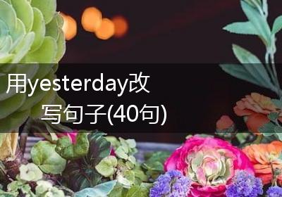 用yesterday改写句子(40句)