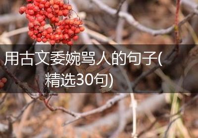 用古文委婉骂人的句子(精选30句)