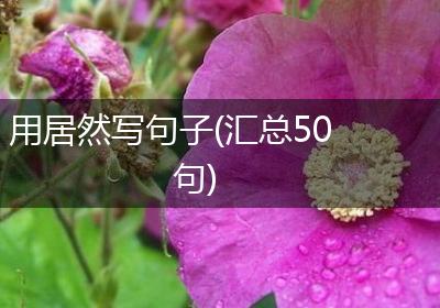 用居然写句子(汇总50句)