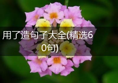 用了造句子大全(精选60句)