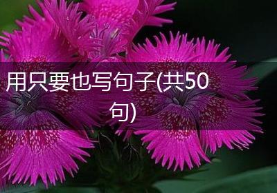 用只要也写句子(共50句)