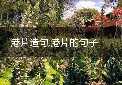 港片造句,港片的句子