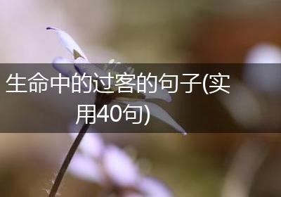 生命中的过客的句子(实用40句)