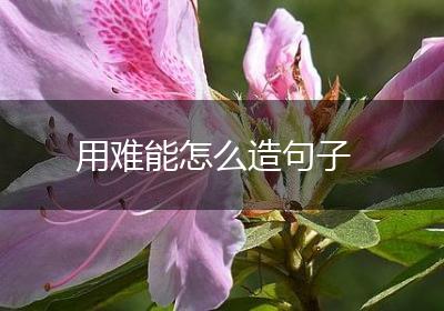 用难能怎么造句子