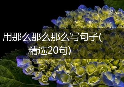 用那么那么那么写句子(精选20句)