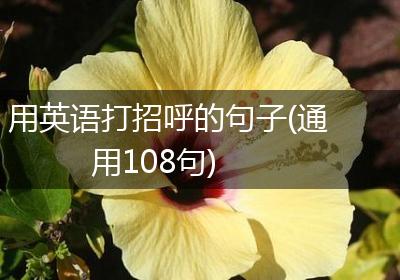 用英语打招呼的句子(通用108句)