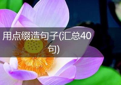 用点缀造句子(汇总40句)