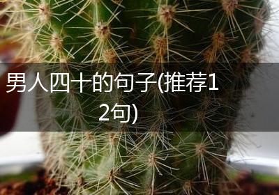 男人四十的句子(推荐12句)