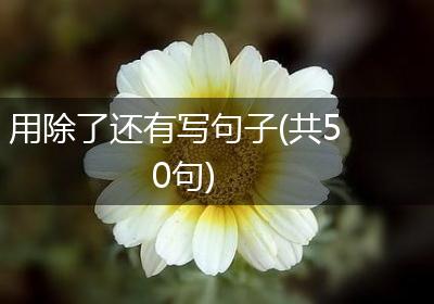用除了还有写句子(共50句)