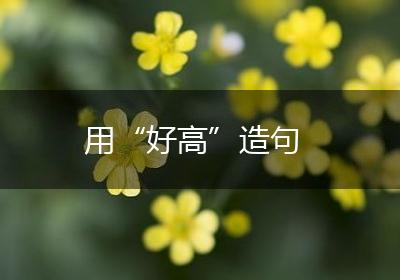 用“好高”造句
