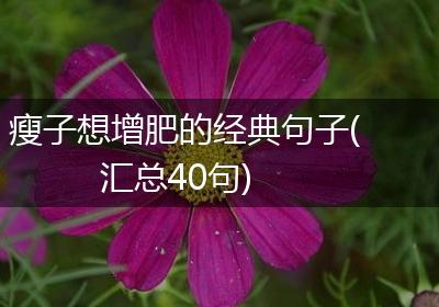 瘦子想增肥的经典句子(汇总40句)