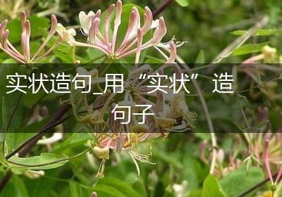 实状造句_用“实状”造句子