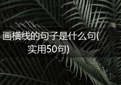 画横线的句子是什么句(实用50句)