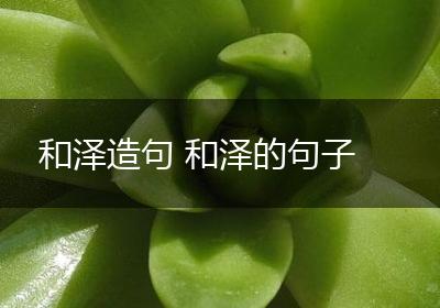 和泽造句 和泽的句子