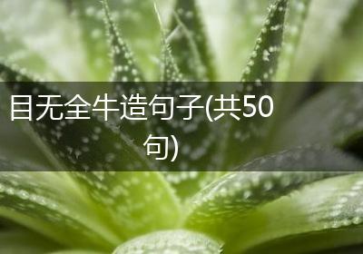 目无全牛造句子(共50句)