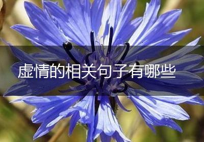 虚情的相关句子有哪些