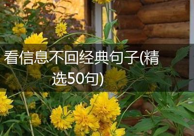 看信息不回经典句子(精选50句)