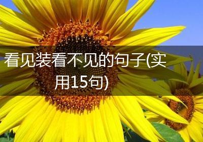 看见装看不见的句子(实用15句)