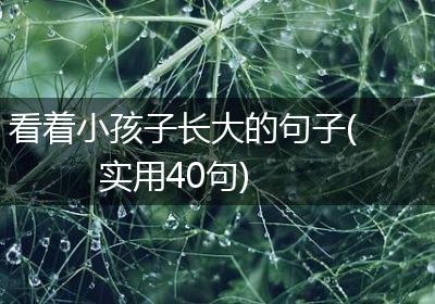 看着小孩子长大的句子(实用40句)