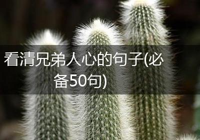 看清兄弟人心的句子(必备50句)