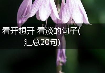 看开想开 看淡的句子(汇总20句)
