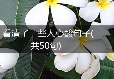 看清了一些人心酸句子(共50句)