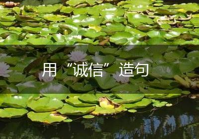 用“诚信”造句